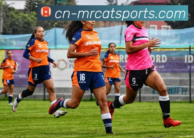 体育下注服务体系