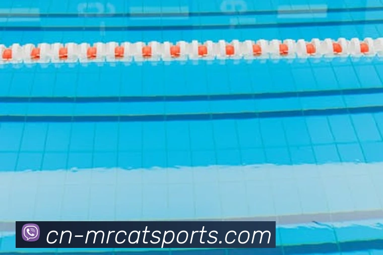 体育下注APP 体育赛事宣传图